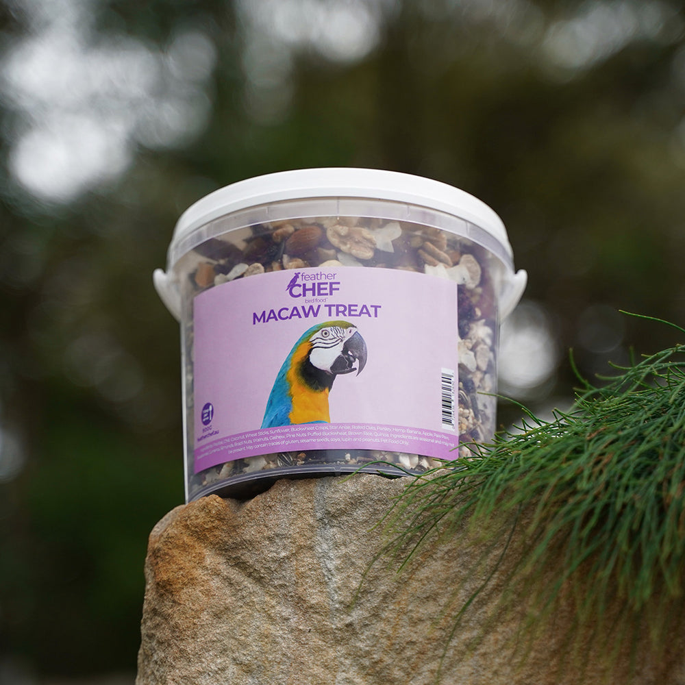 Bucket of Feather Chef Macaw Treats on a stone surface with a blurred natural background