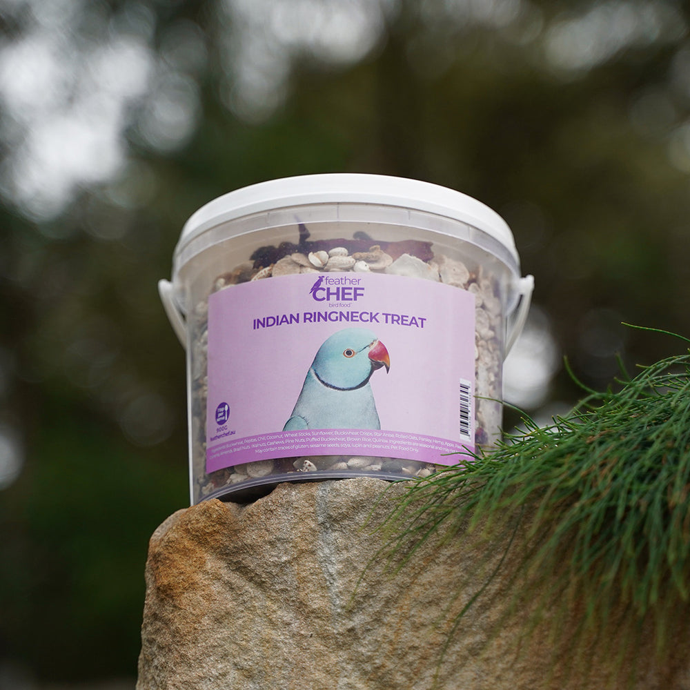 Feather chef Indian Ringneck treat for birds on a stone surface with blurred greenery in the background