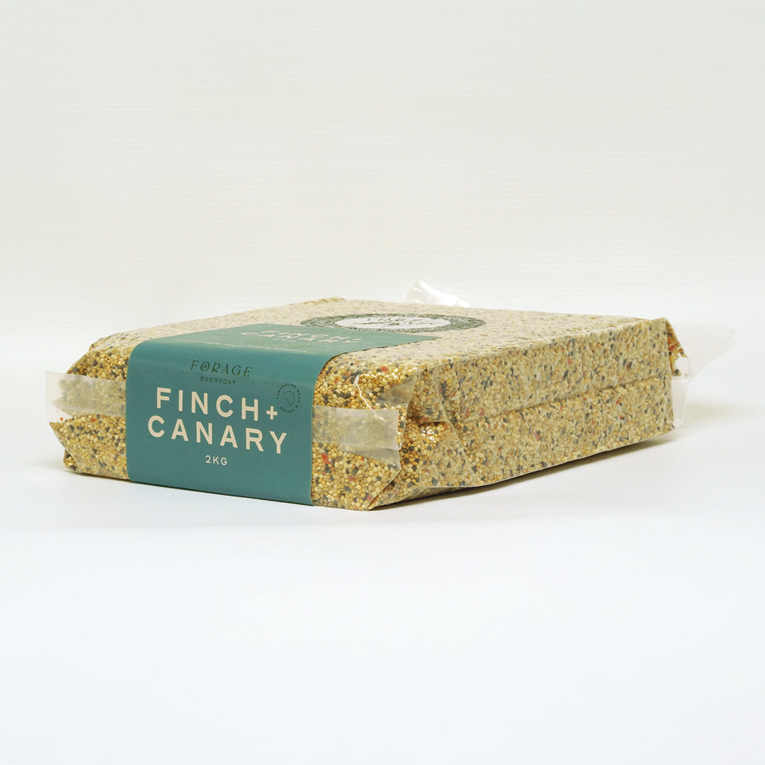 Forage Gourmet Seed - Everyday Finch & Canary Blend