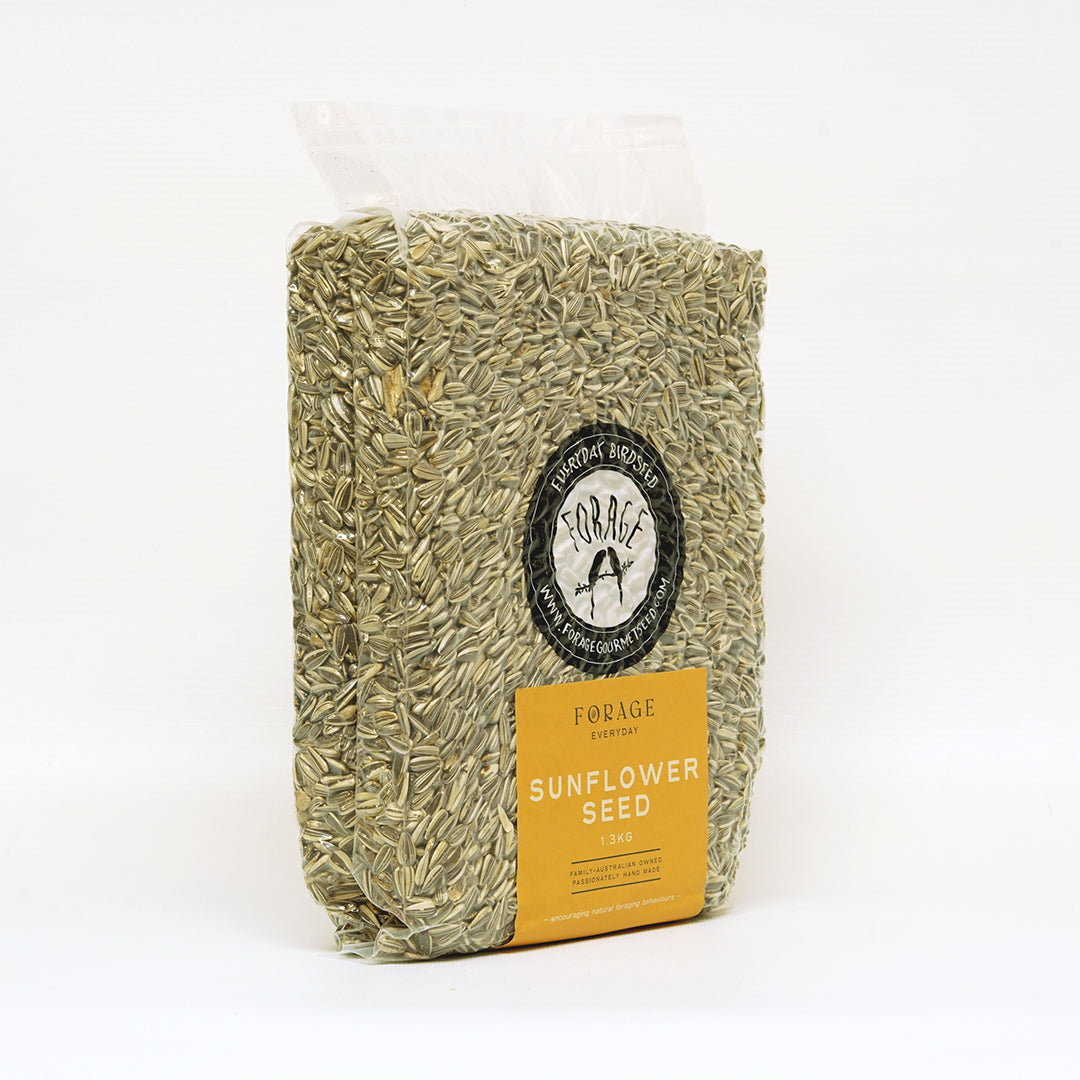 Forage Gourmet Seed - Everyday Grey Stripe Sunflower Seed