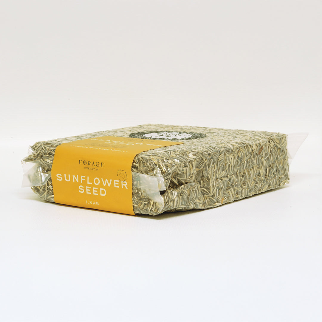 Forage Gourmet Seed - Everyday Grey Stripe Sunflower Seed