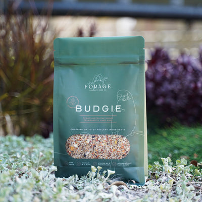Forage Gourmet Seed