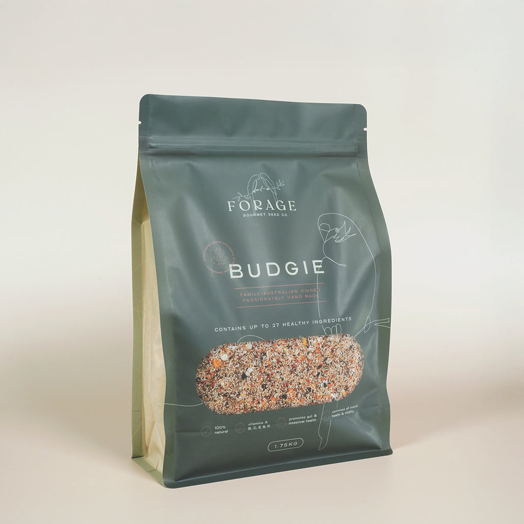 Forage Gourmet Seed - Budgie Specialty Blend