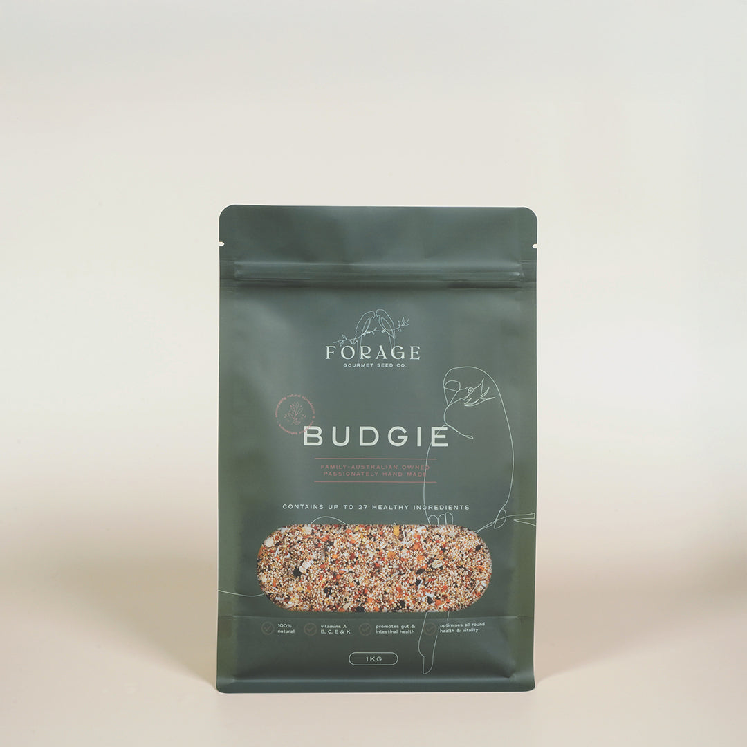Forage Gourmet Seed - Budgie Specialty Blend