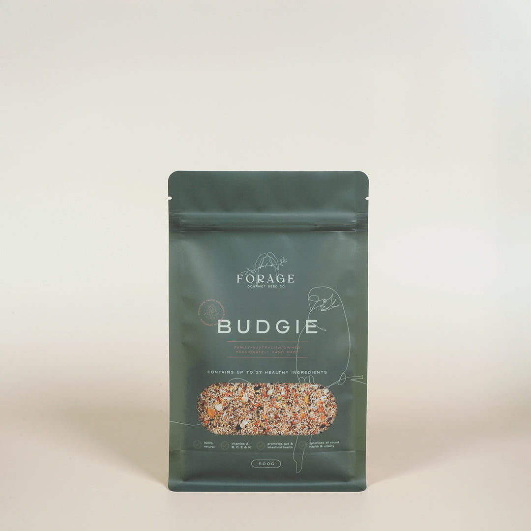 Forage Gourmet Seed - Budgie Specialty Blend