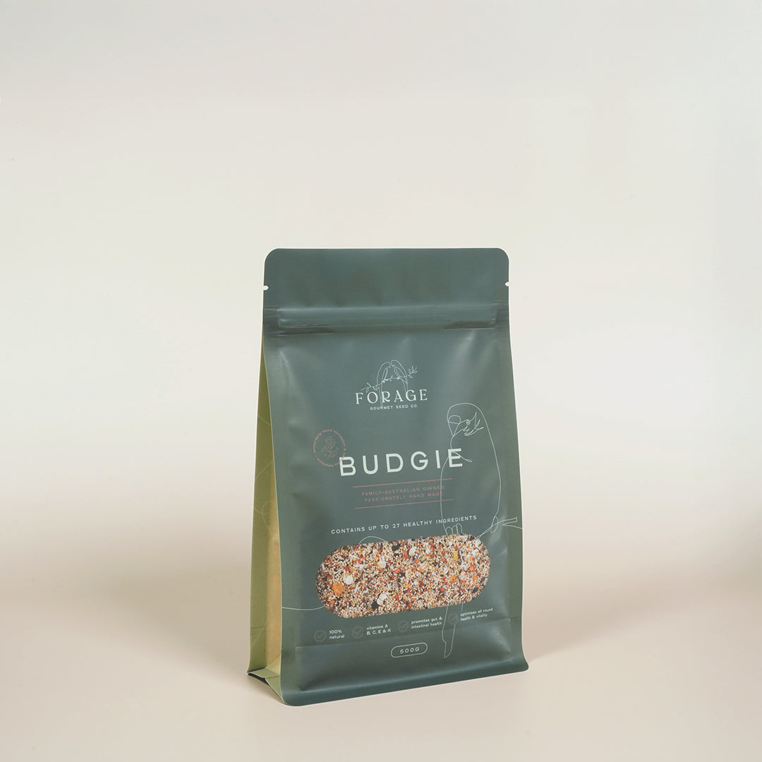 Forage Gourmet Seed - Budgie Specialty Blend