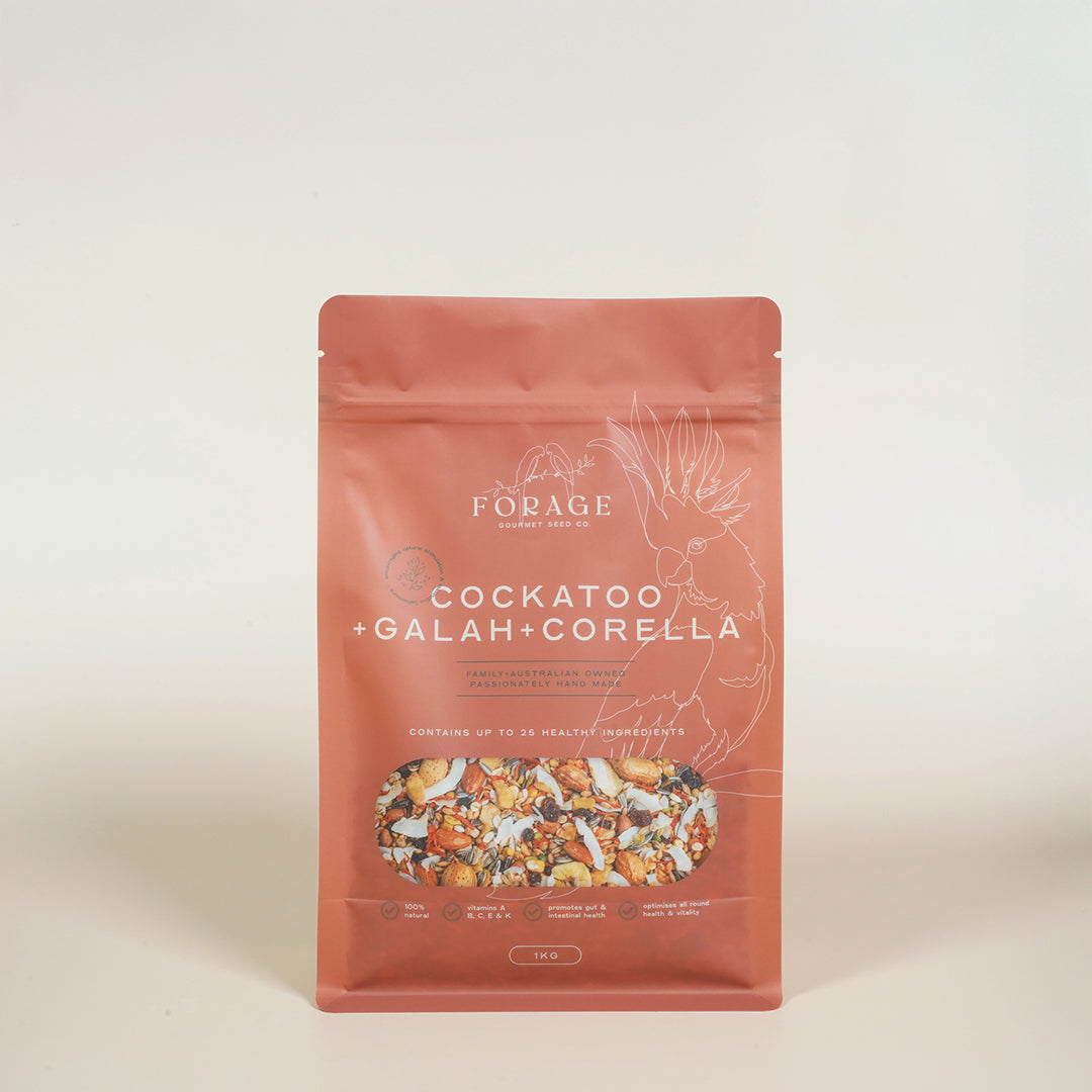 Forage Gourmet Seed - Galah, Corella & Cockatoo Specialty Blend