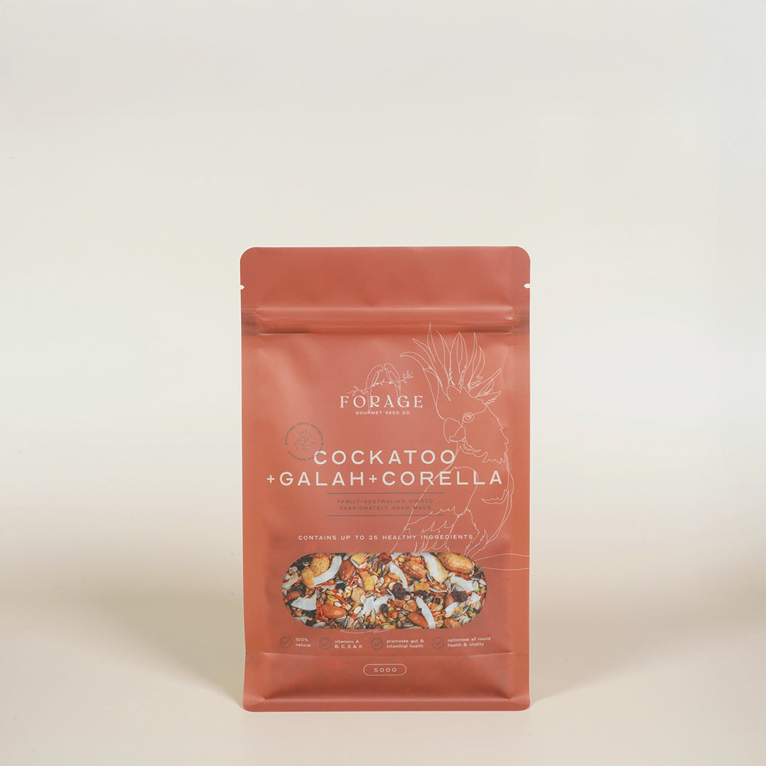 Forage Gourmet Seed - Galah, Corella & Cockatoo Specialty Blend