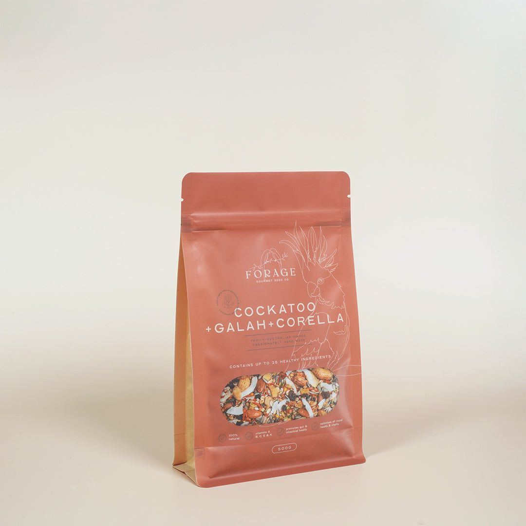 Forage Gourmet Seed - Galah, Corella & Cockatoo Specialty Blend