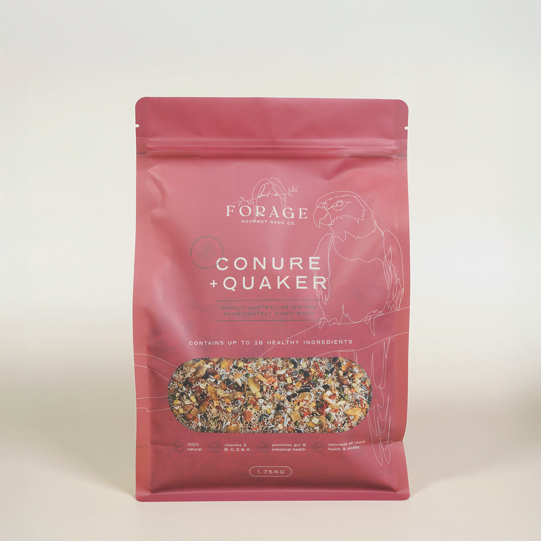 Forage Gourmet Seed - Conure & Quaker Specialty Blend