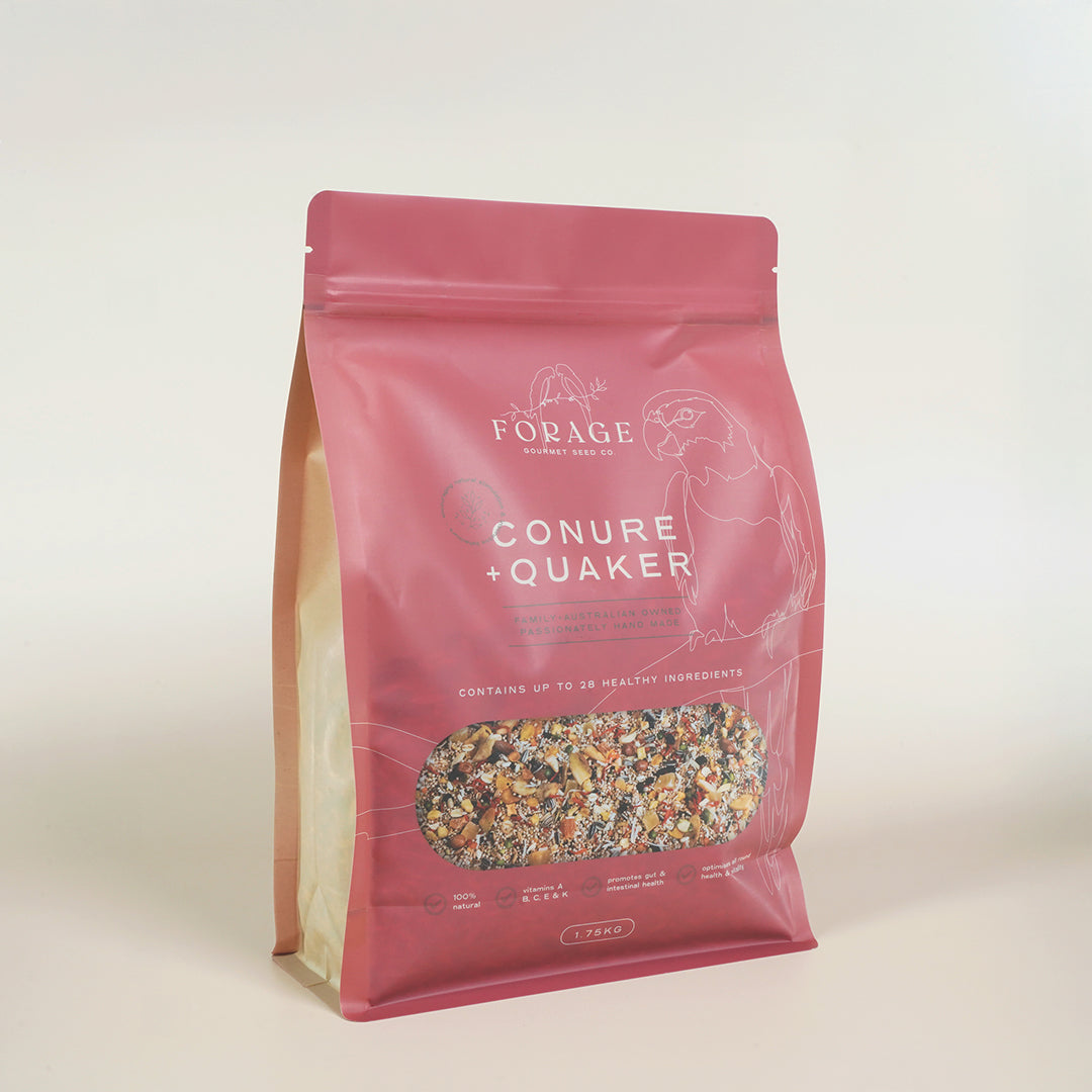 Forage Gourmet Seed - Conure & Quaker Specialty Blend