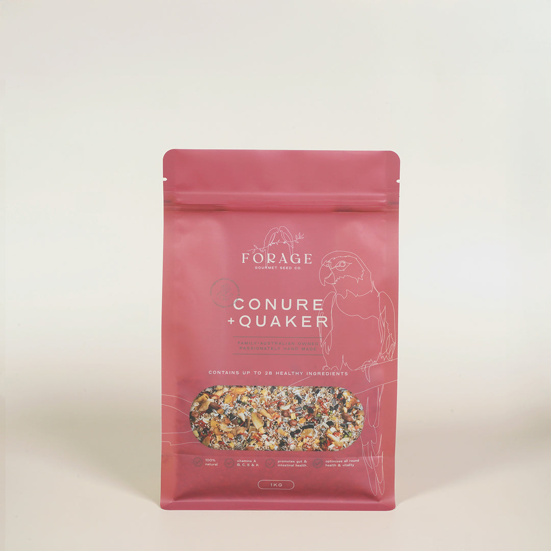 Forage Gourmet Seed - Conure & Quaker Specialty Blend
