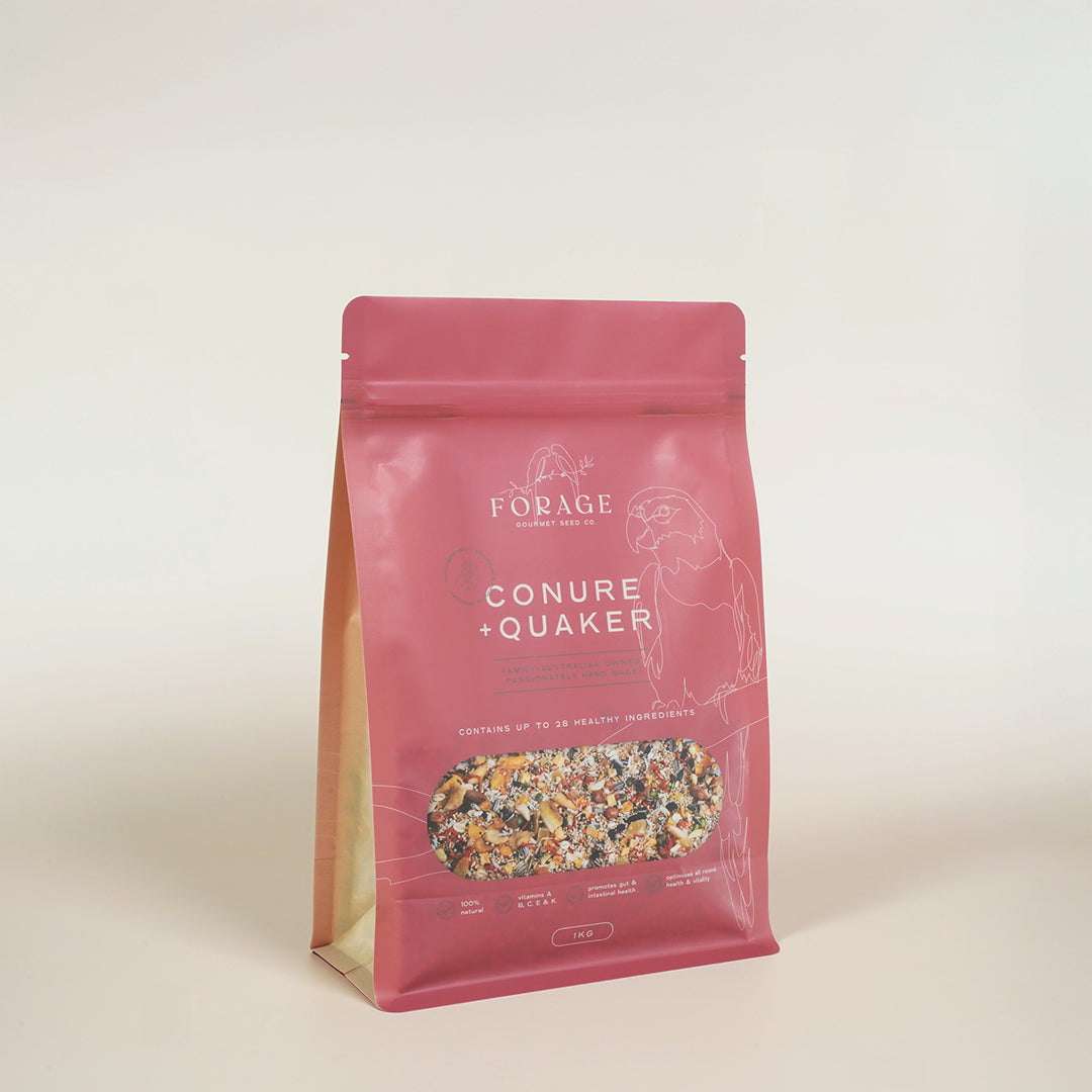 Forage Gourmet Seed - Conure & Quaker Specialty Blend