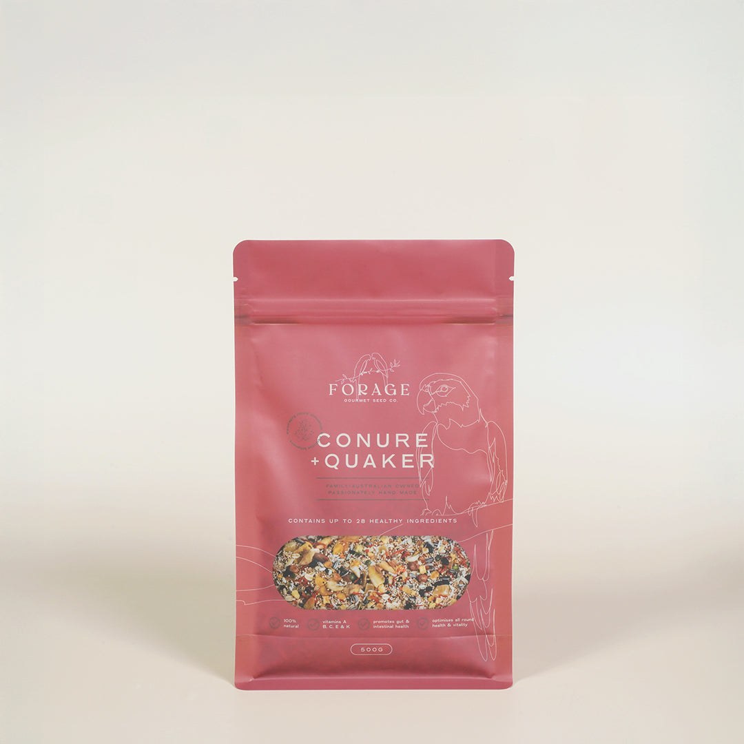 Forage Gourmet Seed - Conure & Quaker Specialty Blend