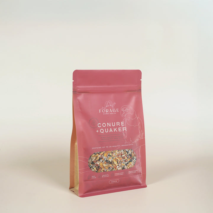 Forage Gourmet Seed - Conure & Quaker Specialty Blend