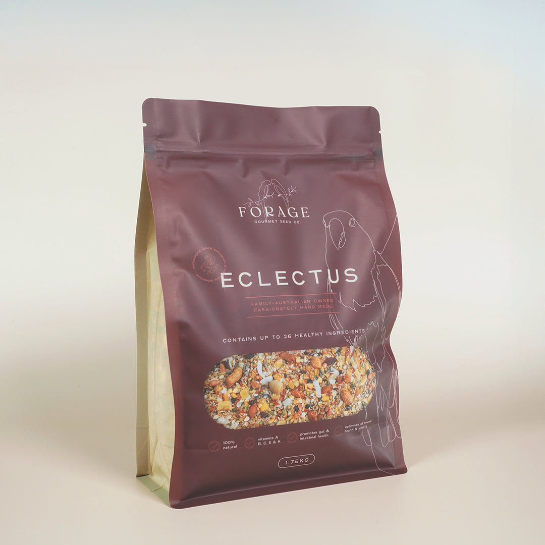 Forage Gourmet Seed - Eclectus Specialty Blend
