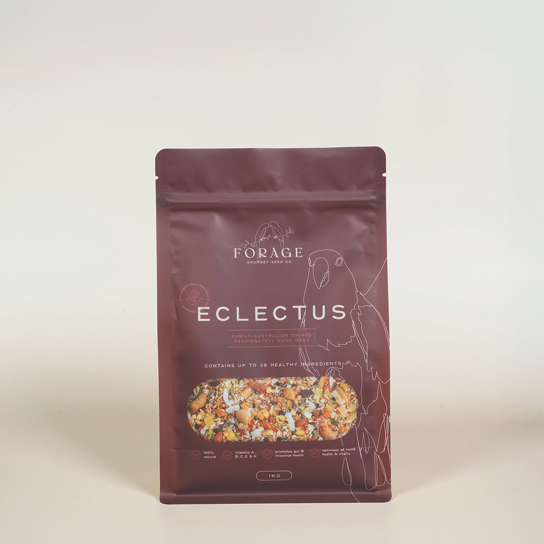Forage Gourmet Seed - Eclectus Specialty Blend