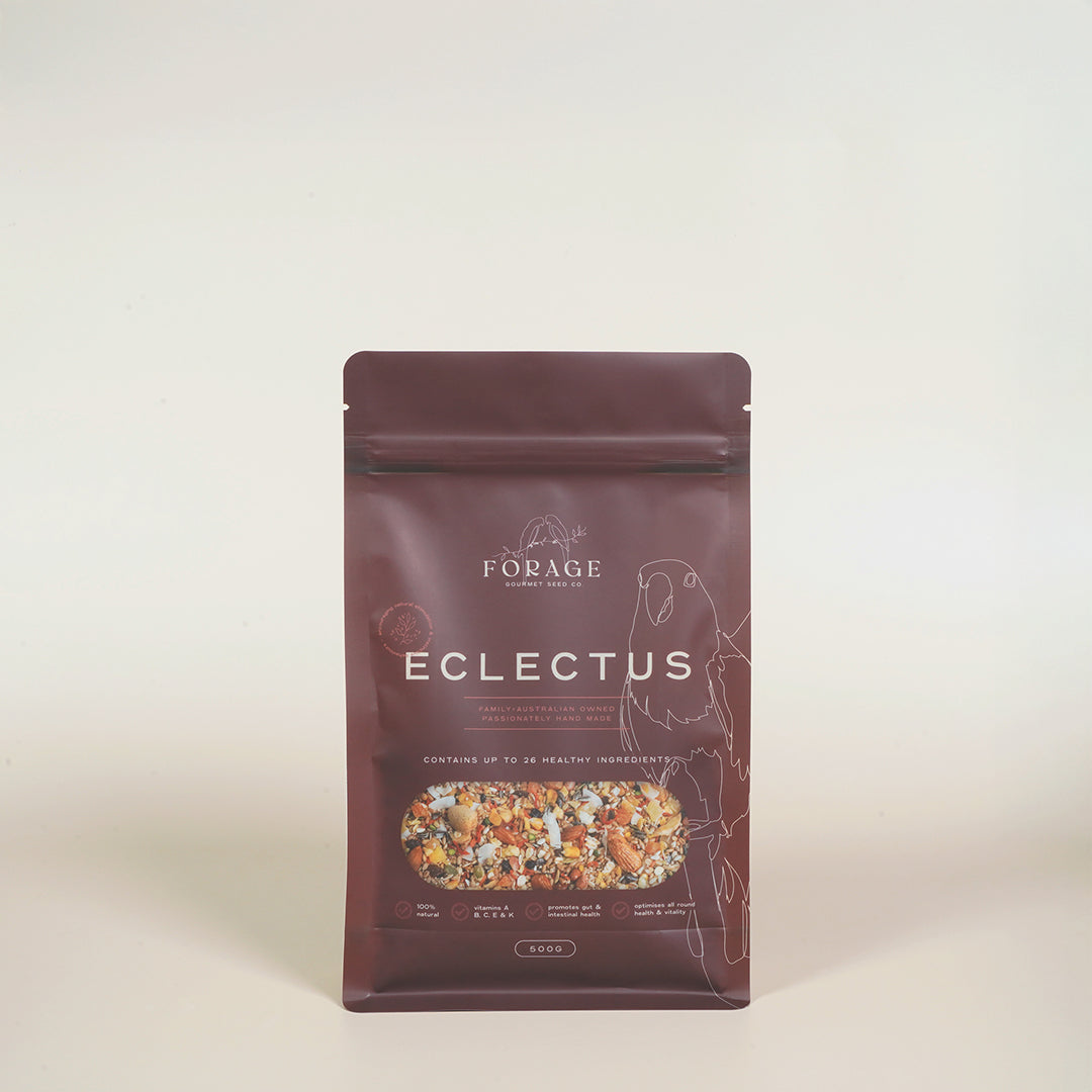 Forage Gourmet Seed - Eclectus Specialty Blend