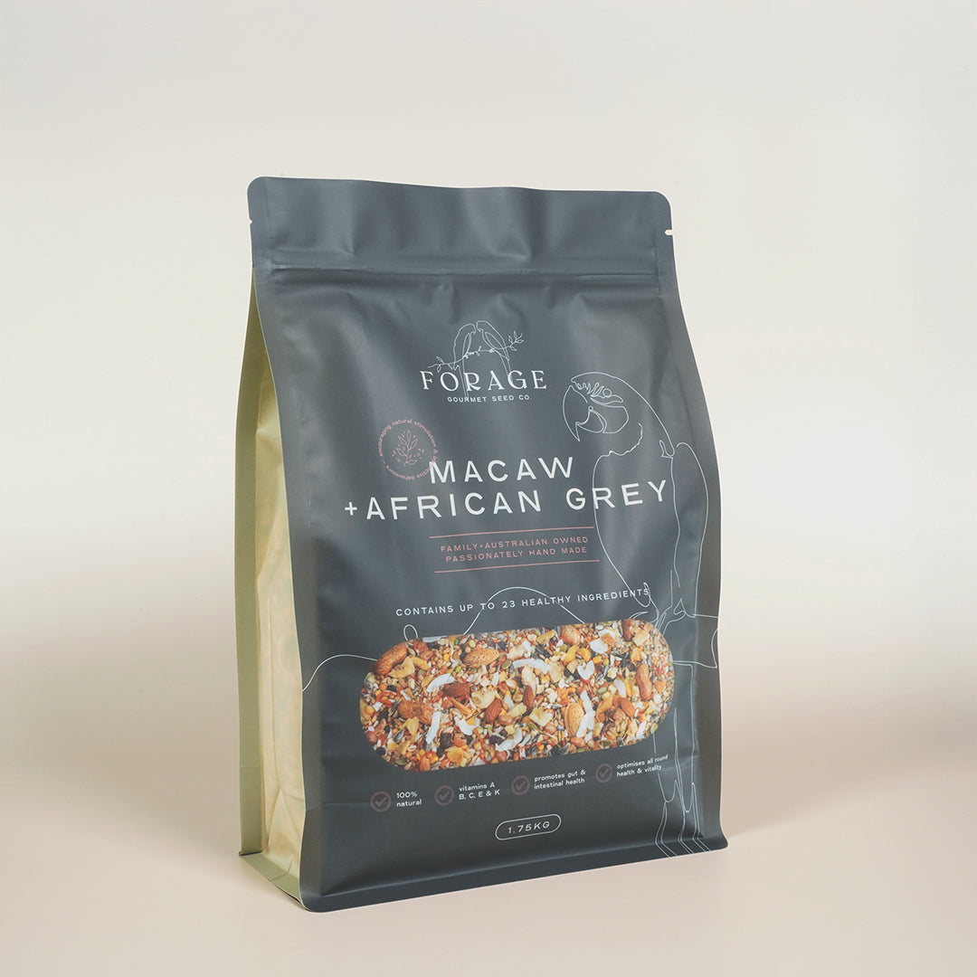 Forage Gourmet Seed - Macaw, African Grey & Amazon Specialty Blend