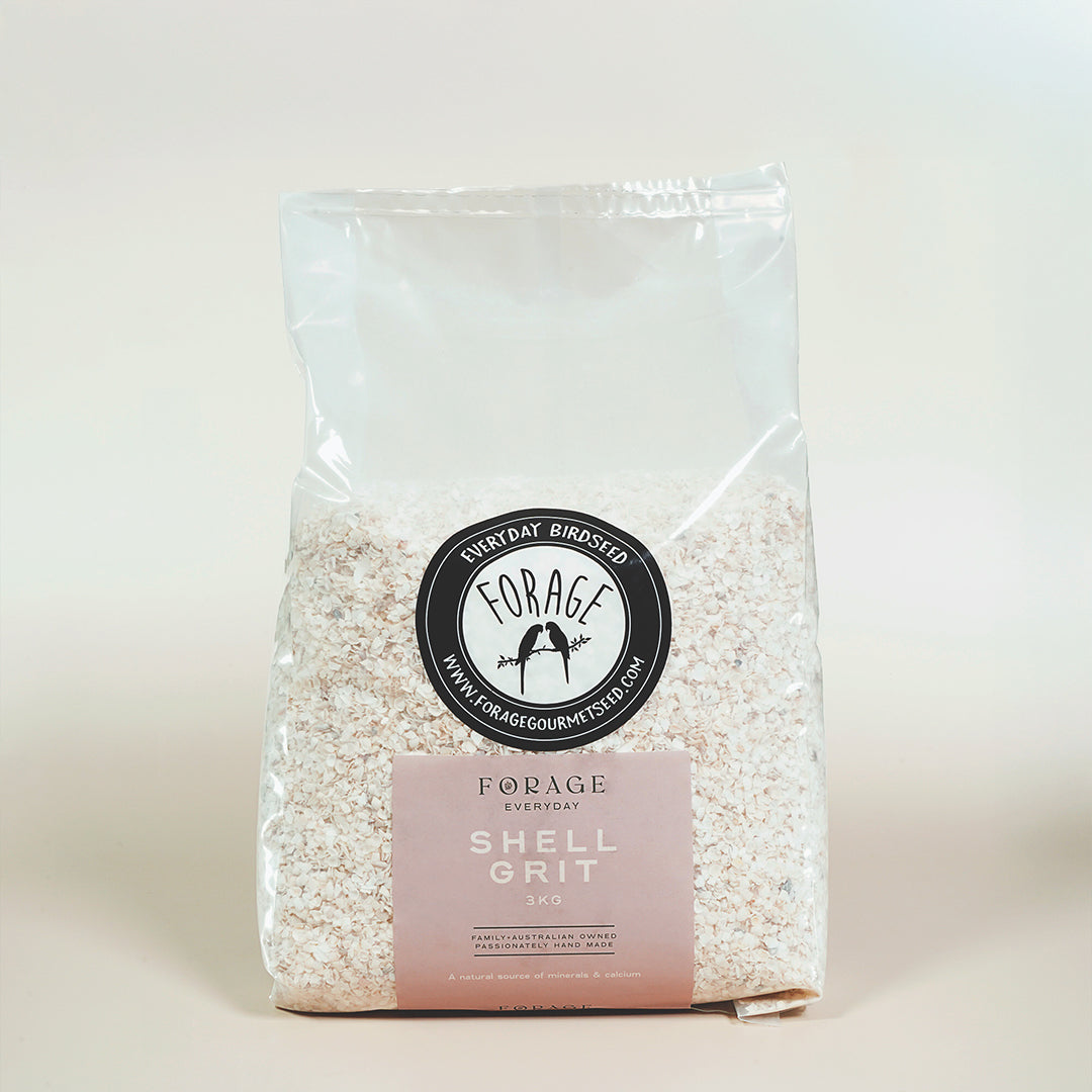 Forage Gourmet Seed - Shell Grit