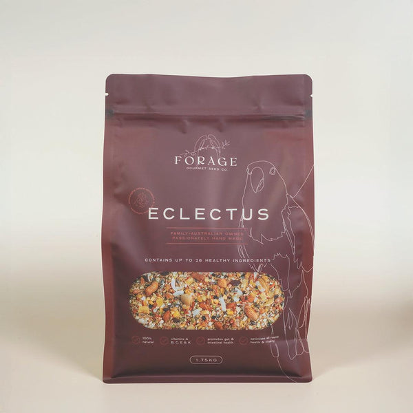 Forage Gourmet Seed - Eclectus Specialty Blend-Bird Seed-Seed Cube