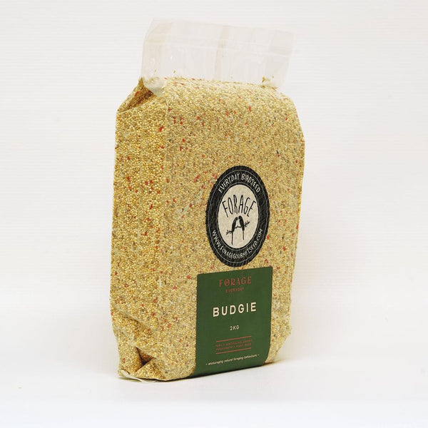 Forage Gourmet Seed - Everyday Budgie Blend-Bird Seed-Seed Cube