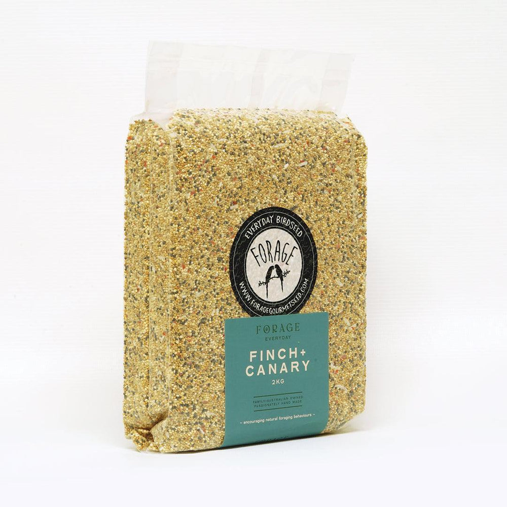 Forage Gourmet Seed - Everyday Finch & Canary Blend-Bird Seed-Seed Cube