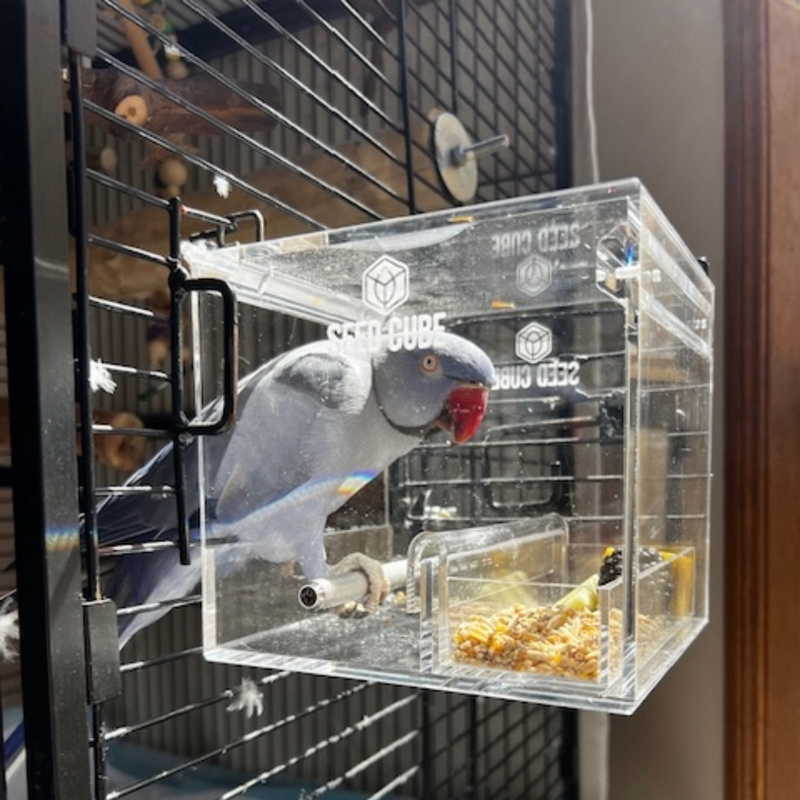 Which size suits a ringneck?