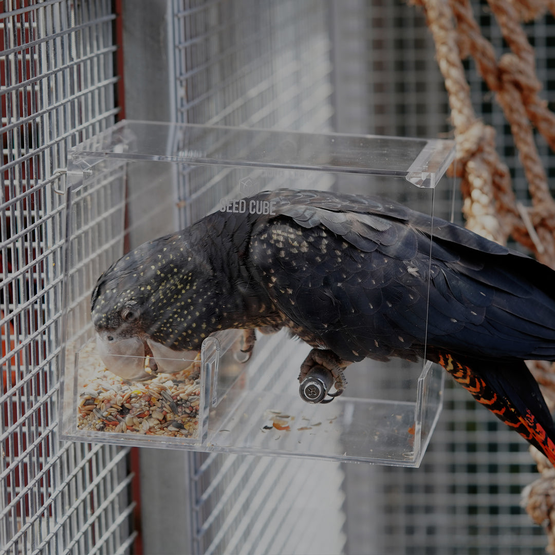 Safe, tough, and secure