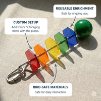 Seed Cube Birdie Bar enrichment toy with colourful acrylic pucks on stainless steel rod, designed for reusable bird foraging and treats.
