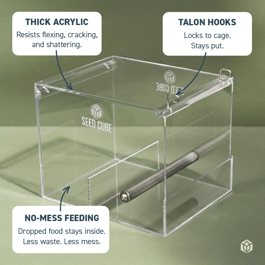 Seed Cube Large acrylic bird feeder showing thick clear panels, internal perch, and no-mess feeding design.