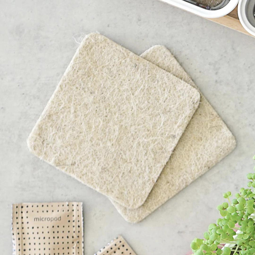 Micropod Grow Mats Only-Seed Cube