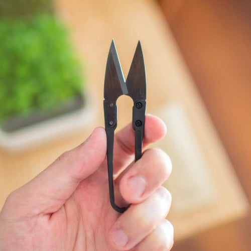 Micropod Micro Snips-Seed Cube