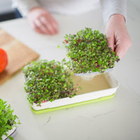 Micropod Starter Grow Kit-Seed Cube