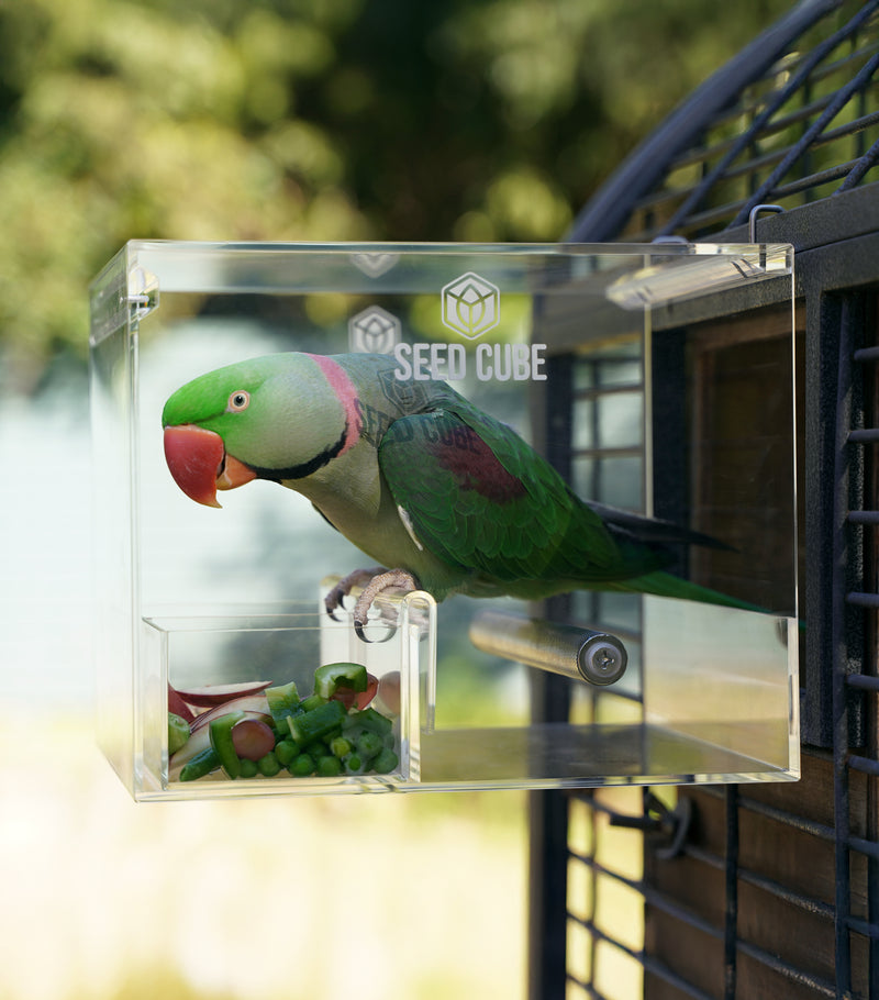 NUGGET.jpg__PID:1424b944-beaa-43ad-ae7f-da9ca0842684