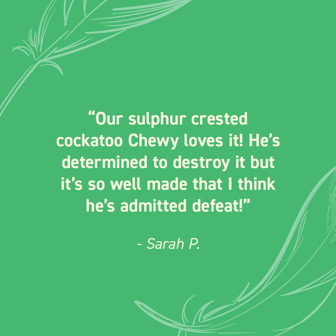 Seed Cube customer review quote highlighting no-mess feeding, easy refilling, reduced cleanup, and durable bird feeder design.