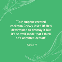 Seed Cube customer review quote highlighting no-mess feeding, easy refilling, reduced cleanup, and durable bird feeder design.