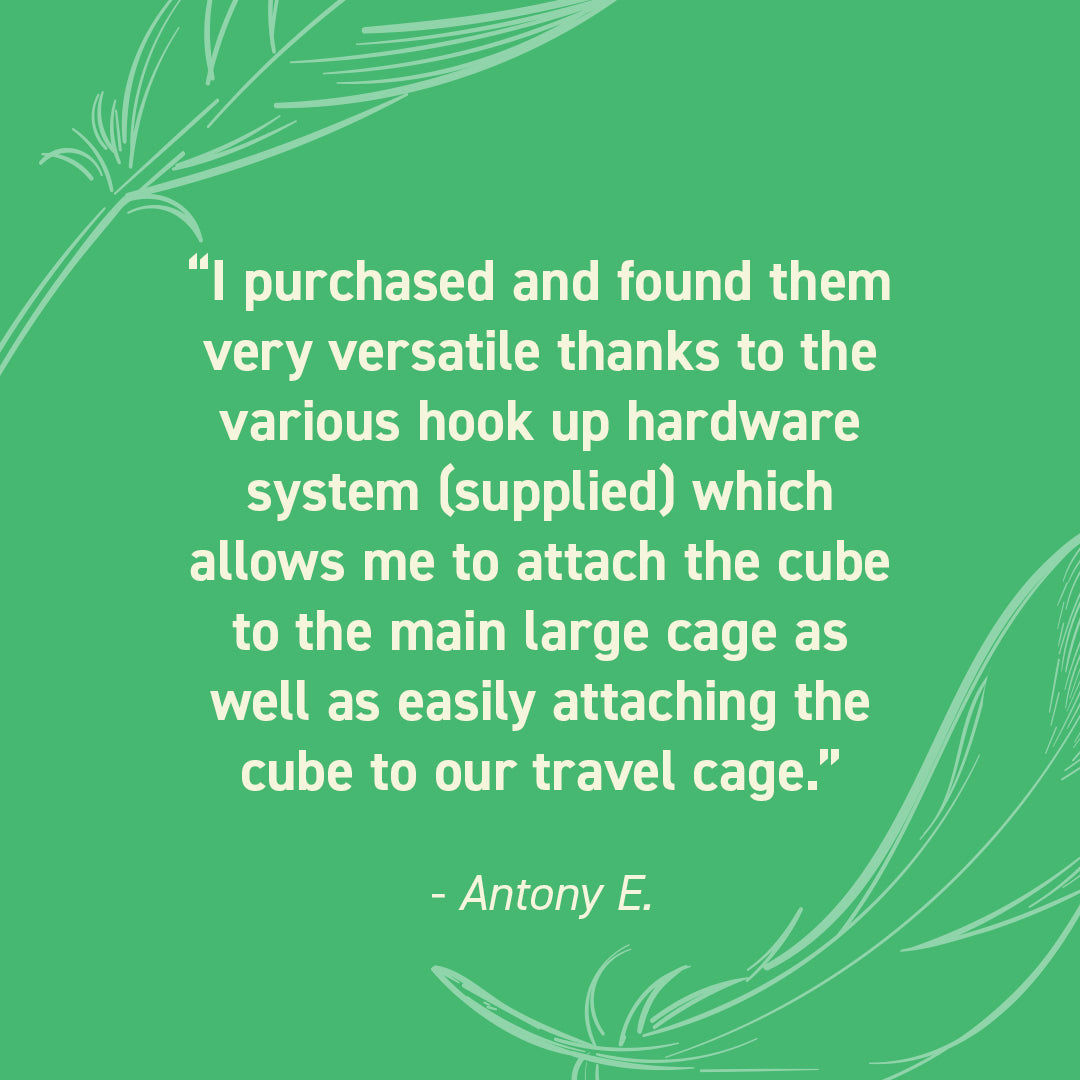 Seed Cube customer review quote highlighting no-mess feeding, easy refilling, reduced cleanup, and durable bird feeder design.