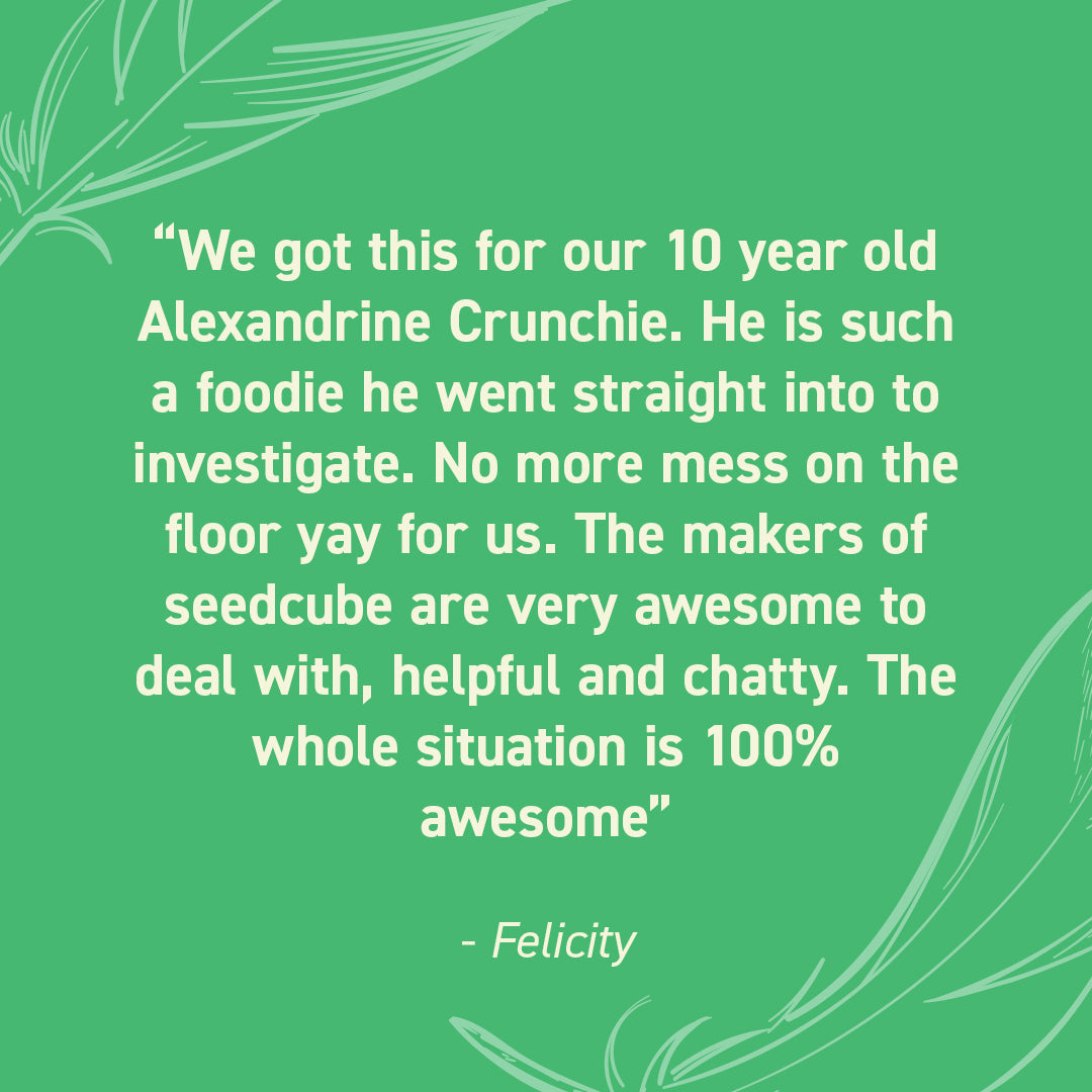 Seed Cube customer review quote highlighting no-mess feeding, easy refilling, reduced cleanup, and durable bird feeder design.