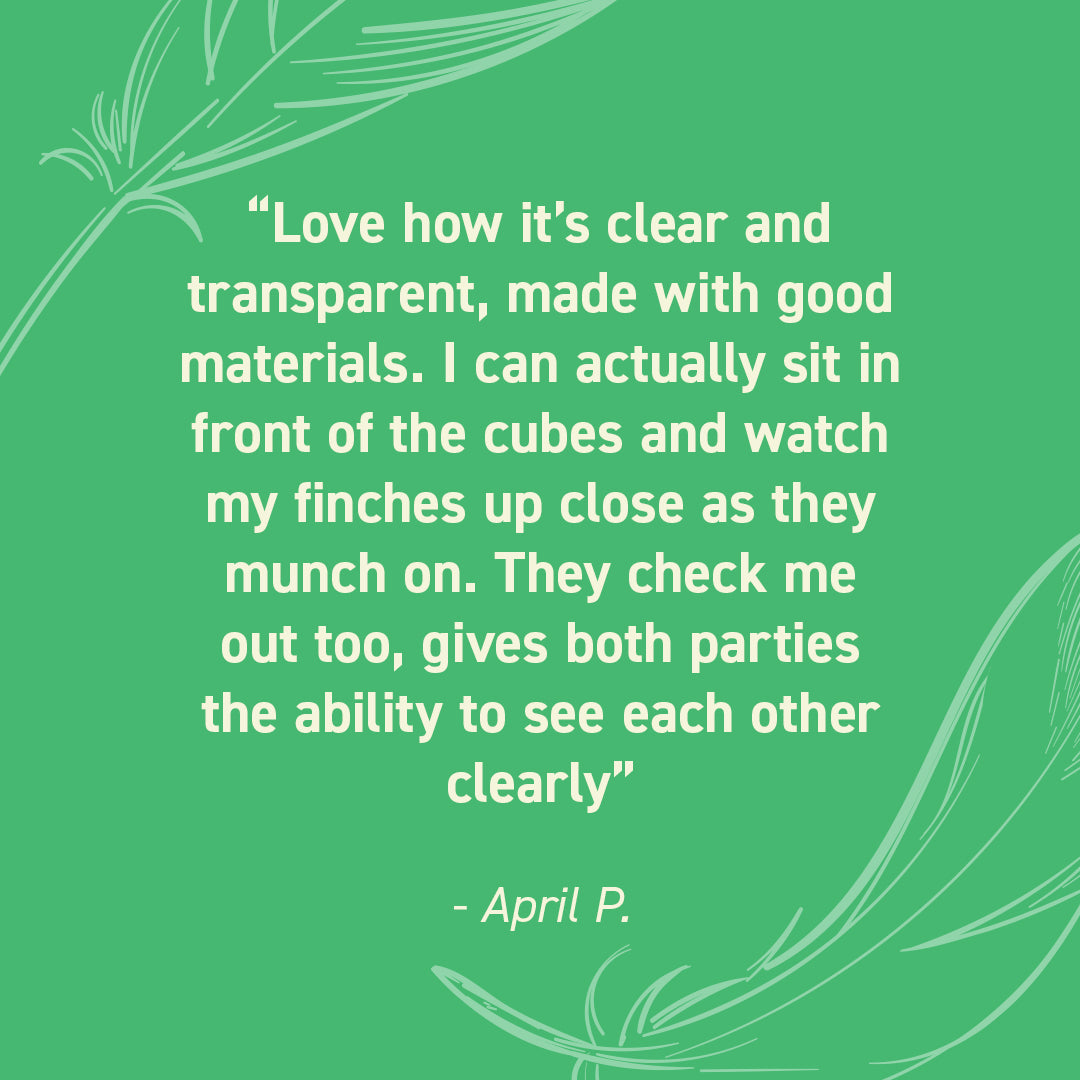 Seed Cube customer review quote highlighting no-mess feeding, easy refilling, reduced cleanup, and durable bird feeder design.