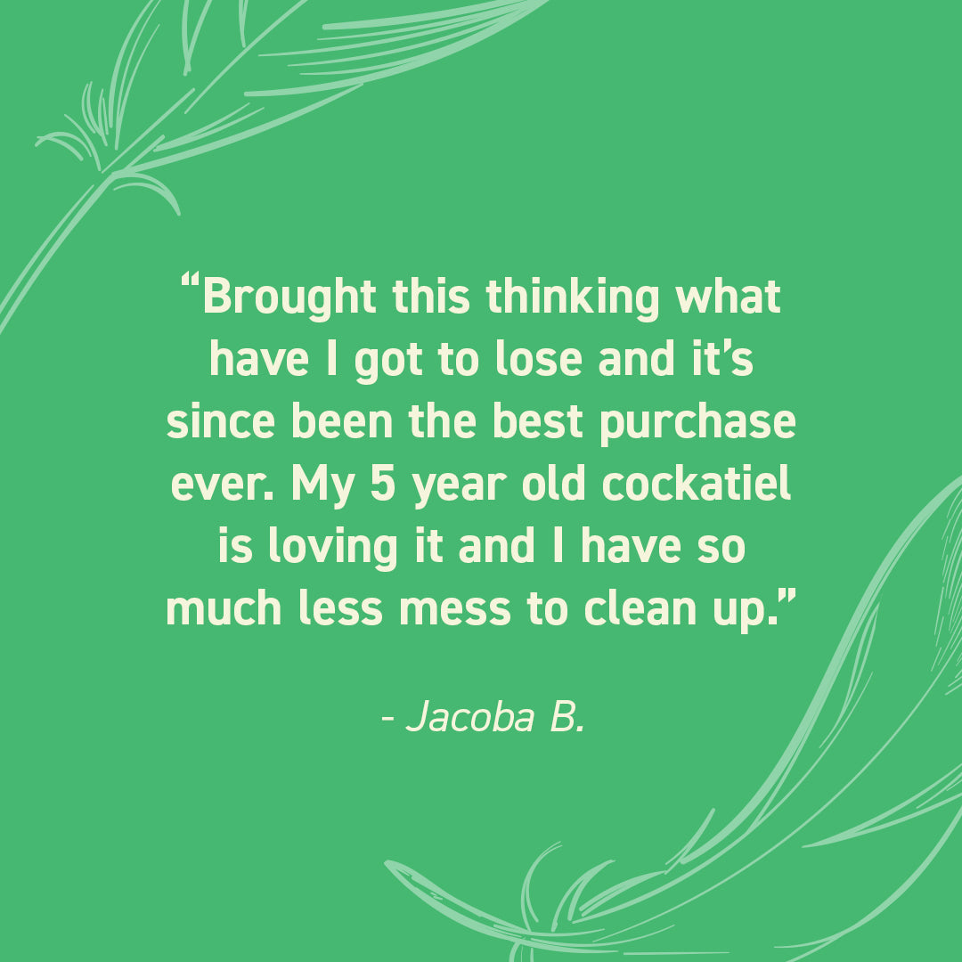 Seed Cube customer review quote highlighting no-mess feeding, easy refilling, reduced cleanup, and durable bird feeder design.