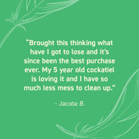Seed Cube customer review quote highlighting no-mess feeding, easy refilling, reduced cleanup, and durable bird feeder design.