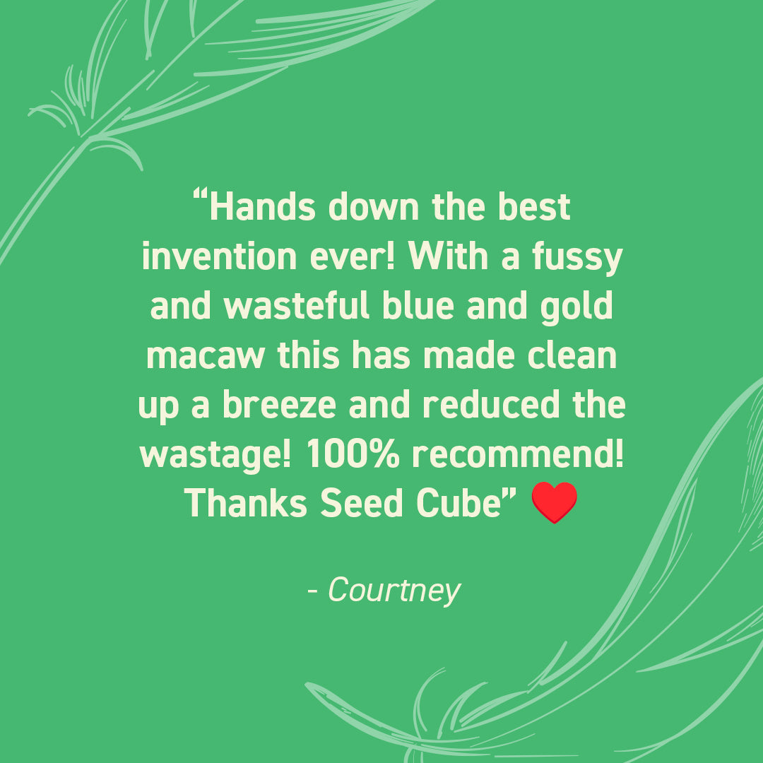 Seed Cube customer review quote highlighting no-mess feeding, easy refilling, reduced cleanup, and durable bird feeder design.