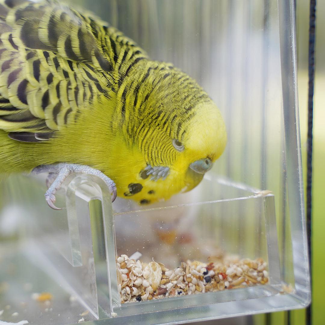 Small Easy-Tray Twin Pack-Bird Feeder-Seed Cube