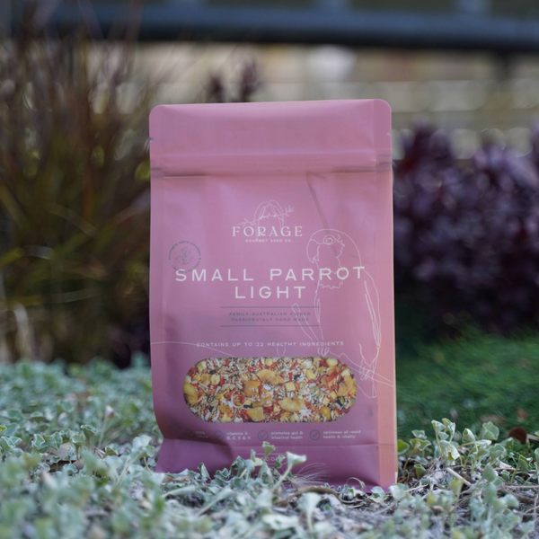 Forage Gourmet Seed - Small Parrot Light Specialty Blend