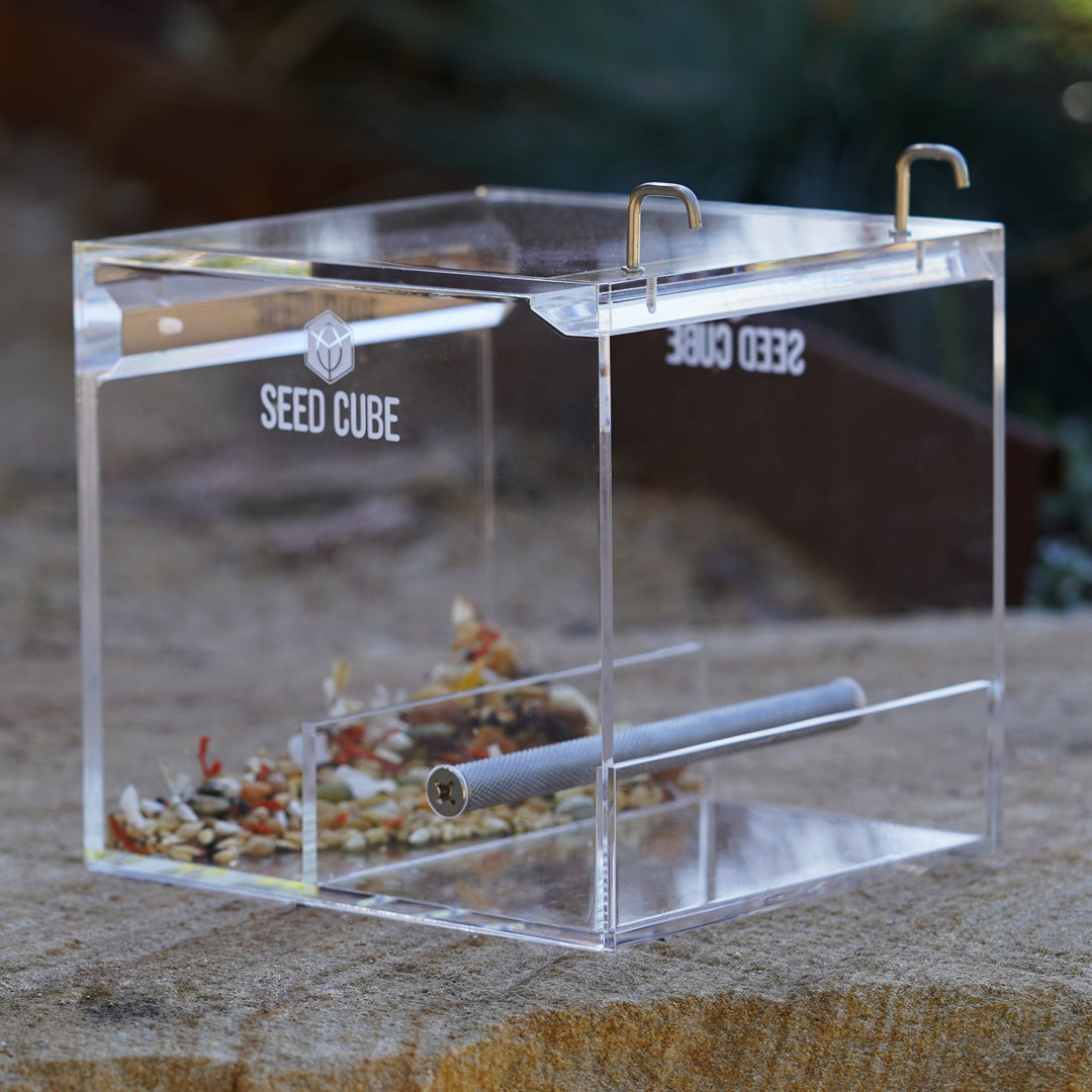 Small seed cube bird feeder with Forage Bird Food