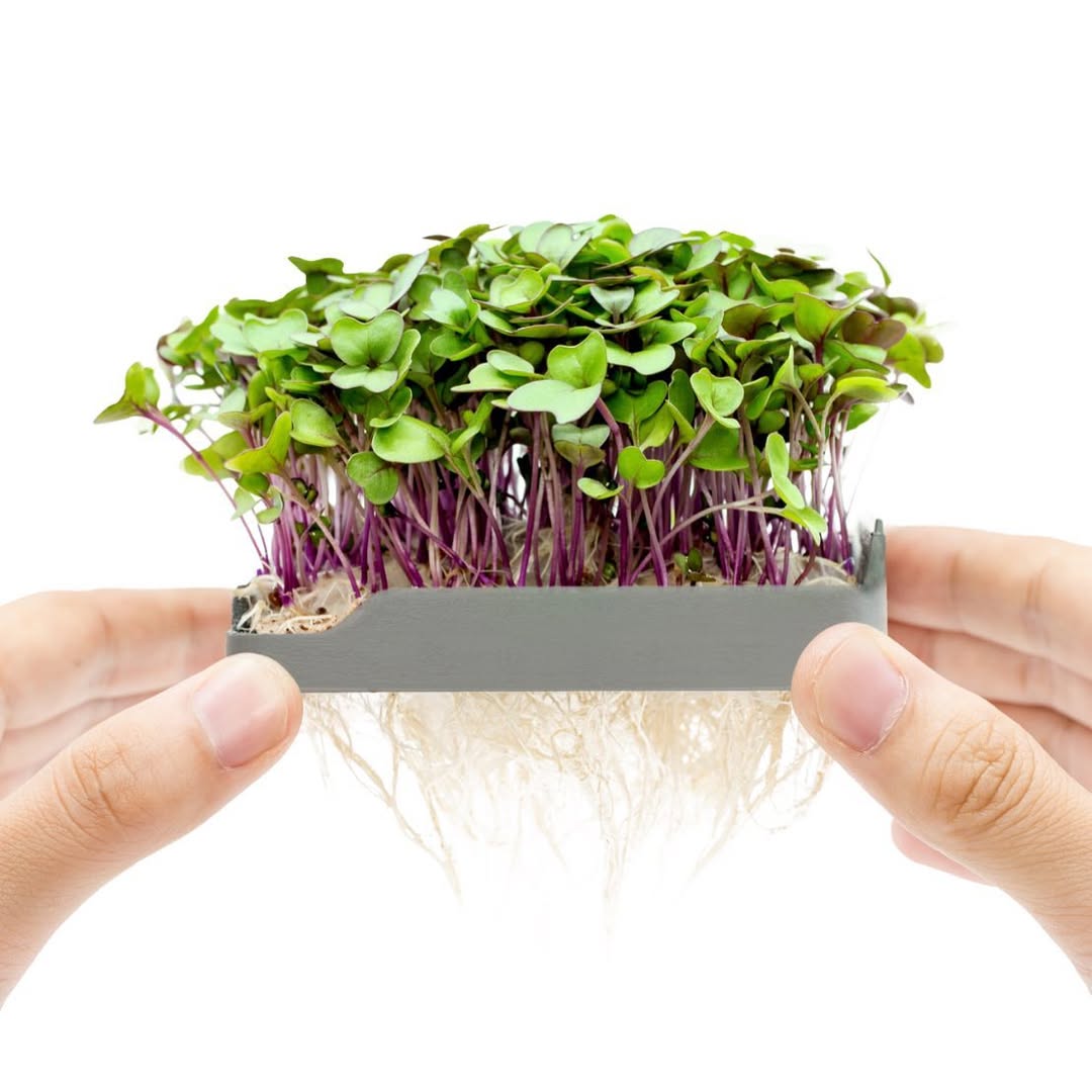 Growmat Micropod Seeds & Grow Mats | Refill Tubes, Snips | Seed Cube