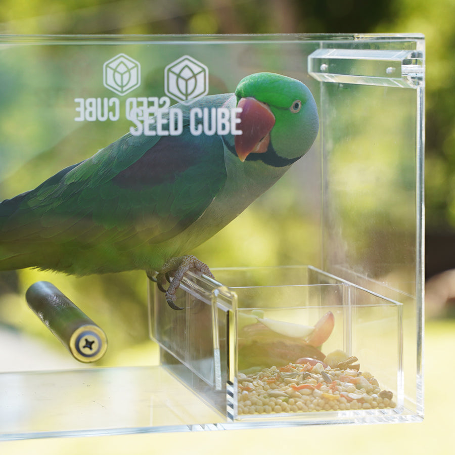 Customer bird using a Large Seed Cube