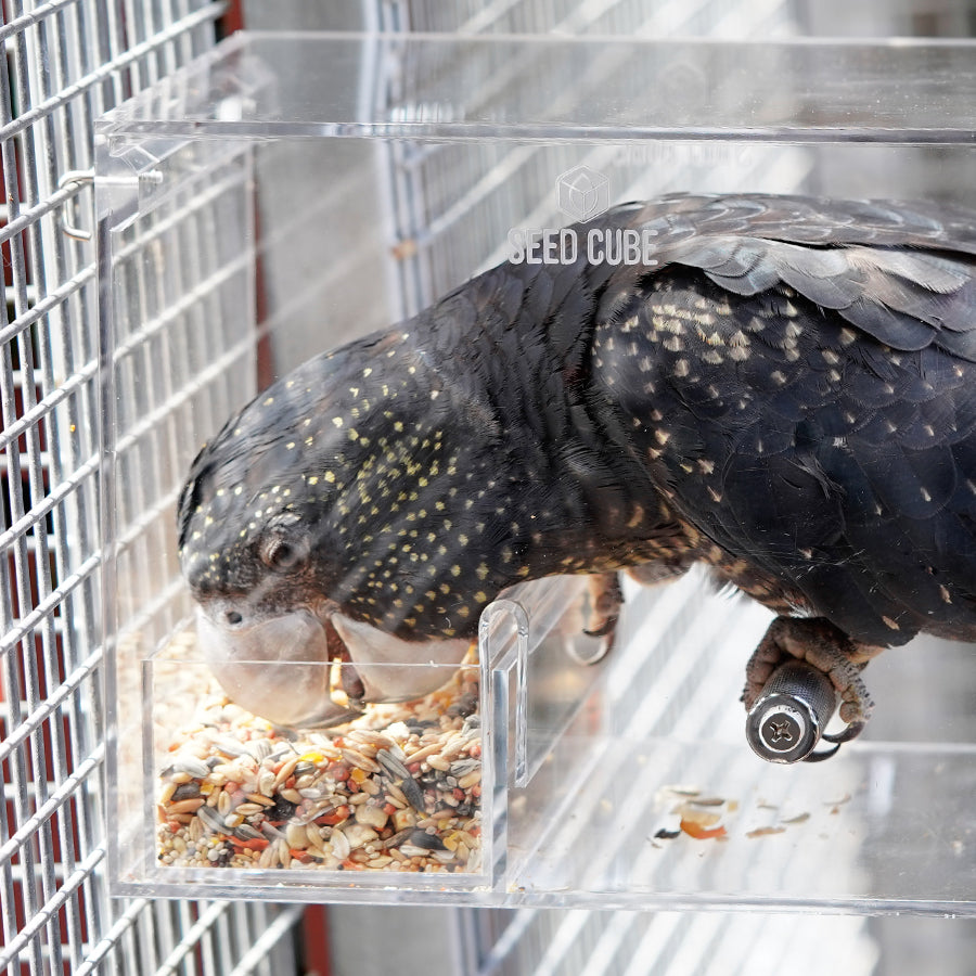 Hero image