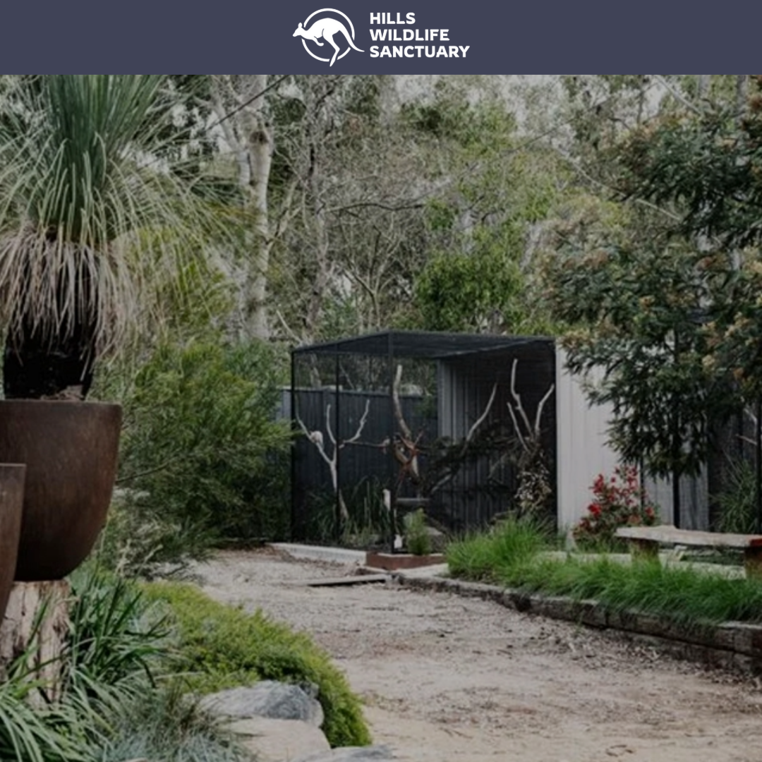 Seed Cube feeding problem visual